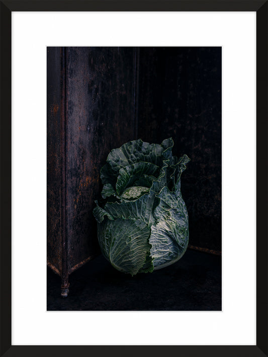 Green Cabbage