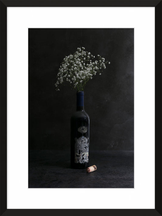 Gypsophila paniculata I