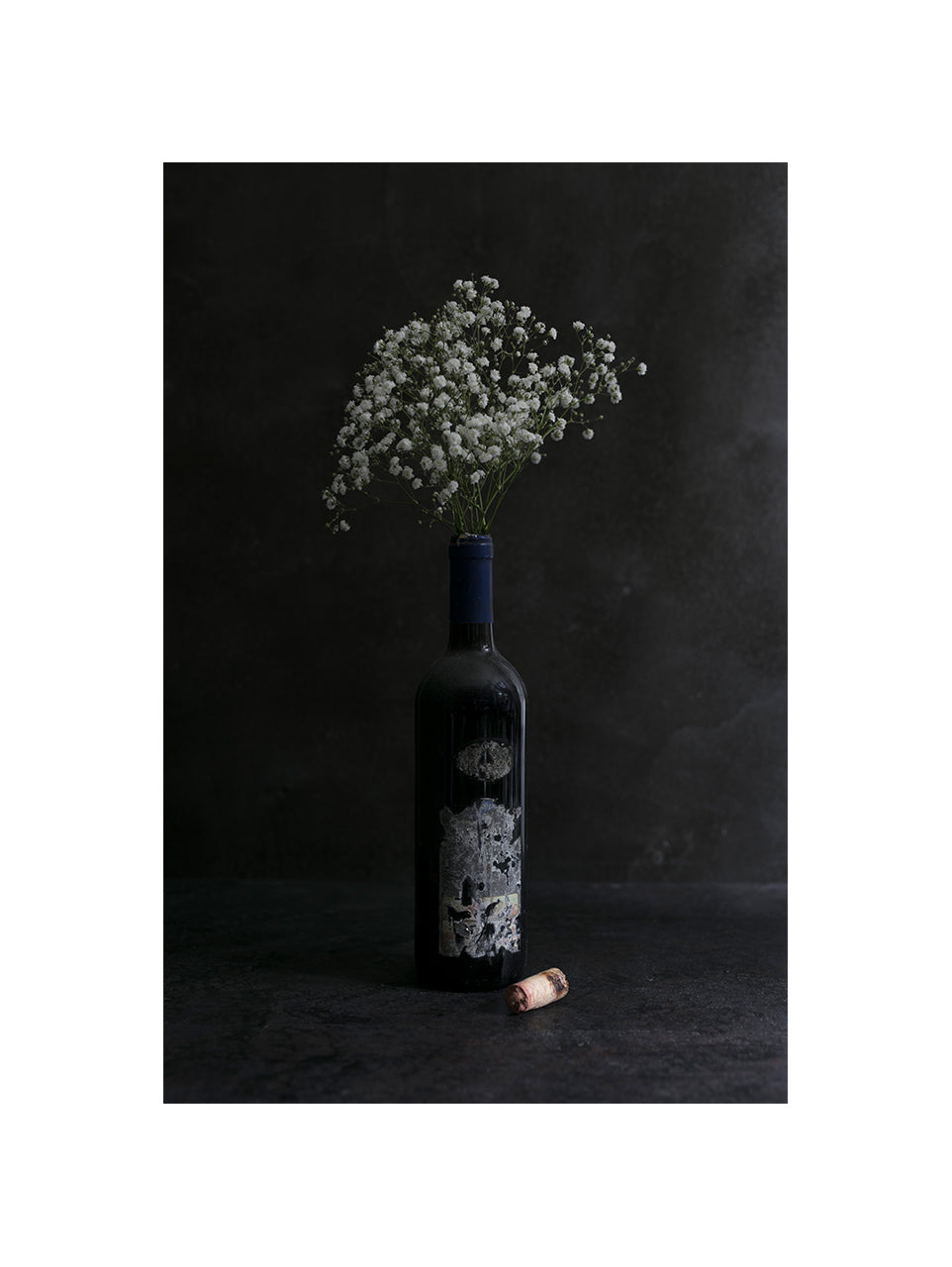 Gypsophila paniculata I