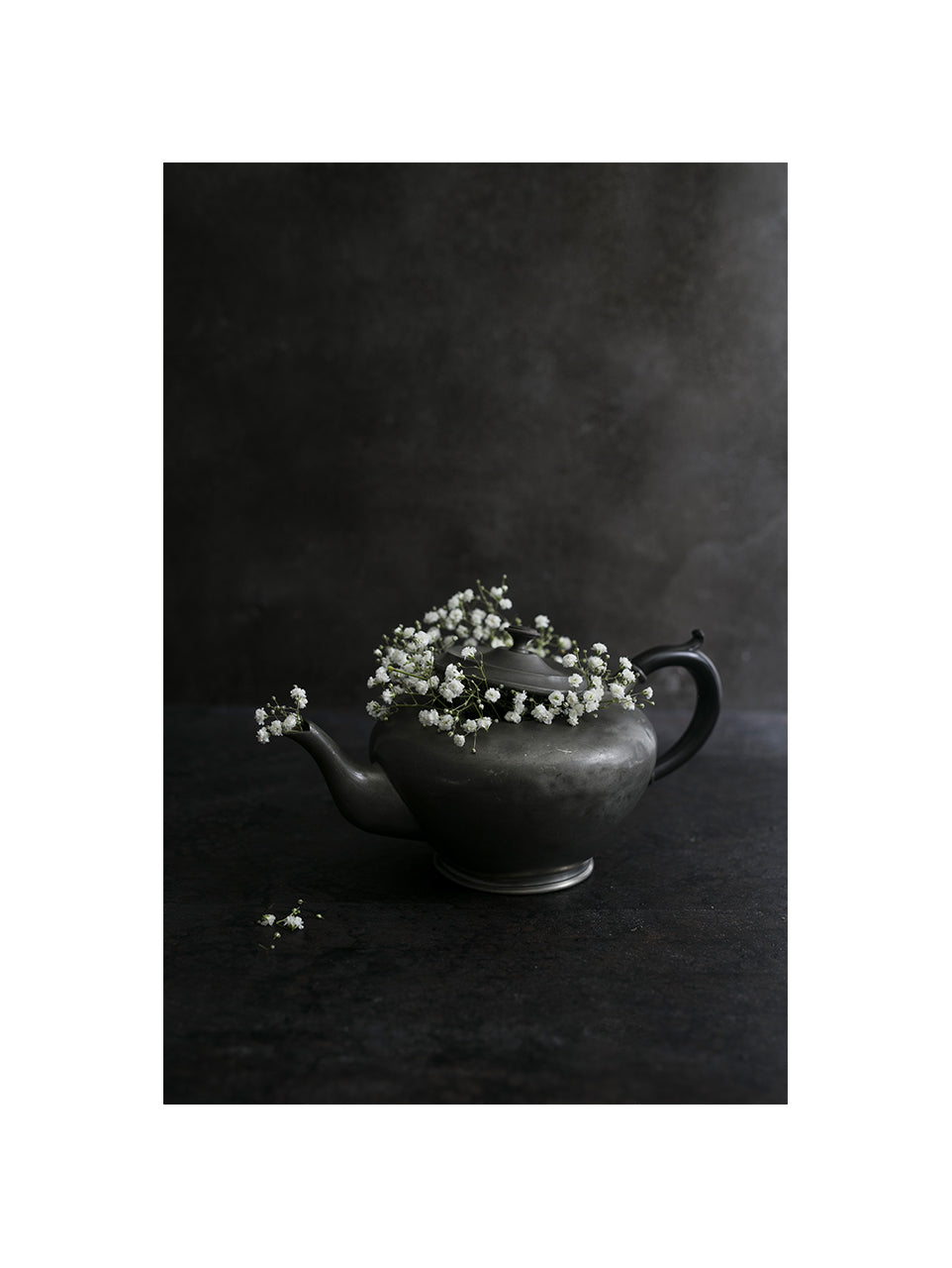 Gypsophila paniculata II