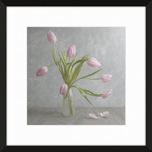 Pink Tulips