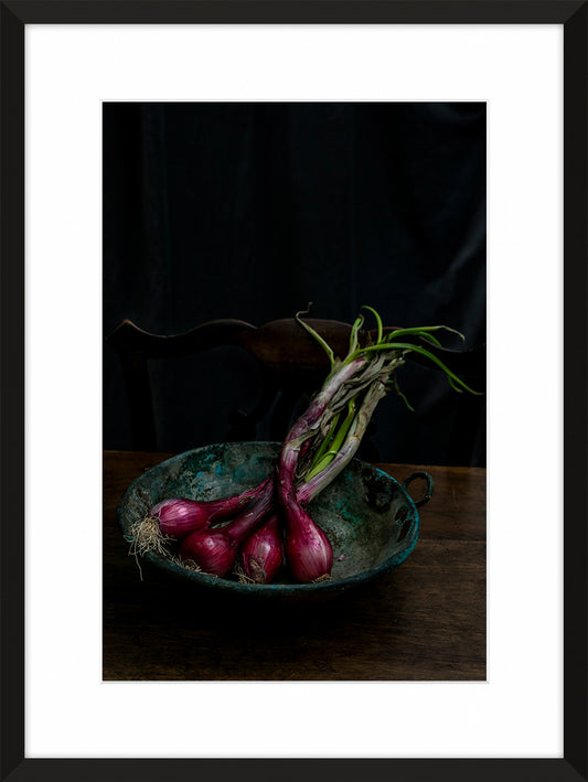 Red Onions II