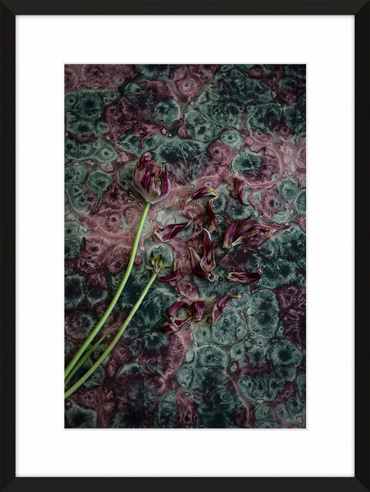 Tulips On Marbled Paper