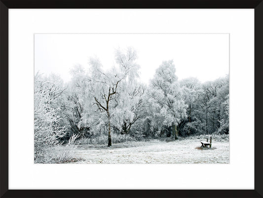 Beauty in the Bleak Mid-Winter