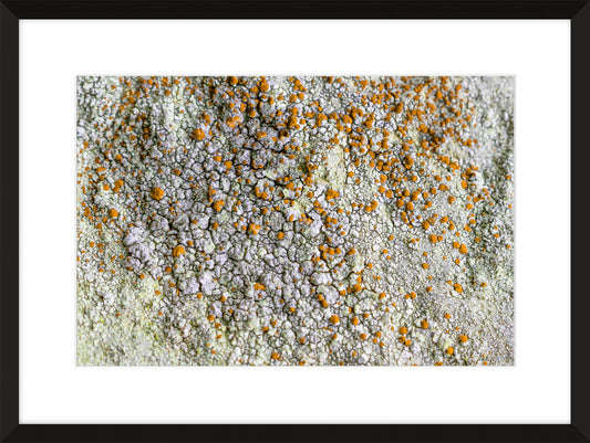 Patina and Decay, Yellow I