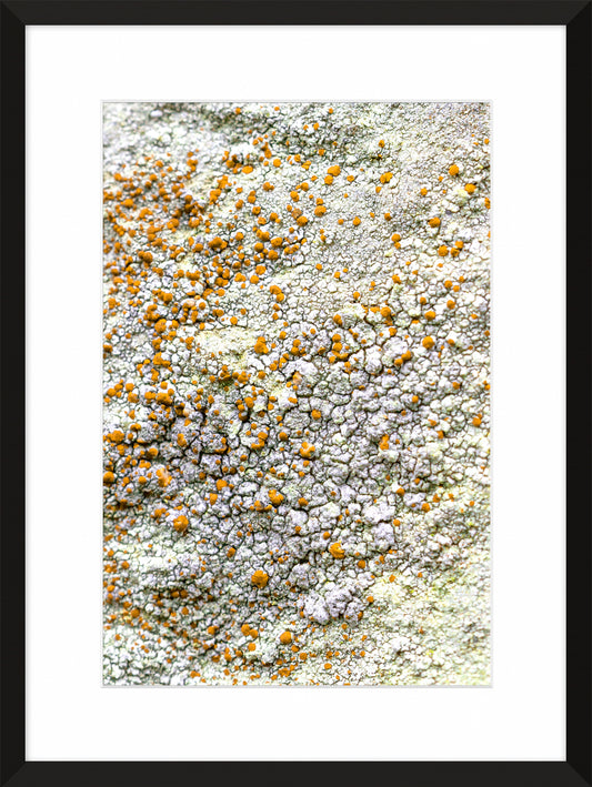 Patina and Decay, Yellow II