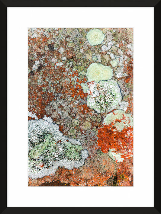 Patina and Decay, Orange II