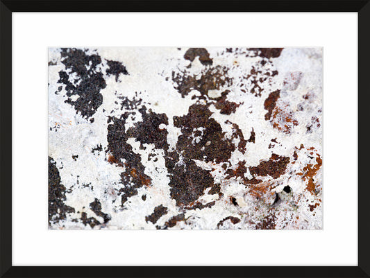 Patina and Decay, White I