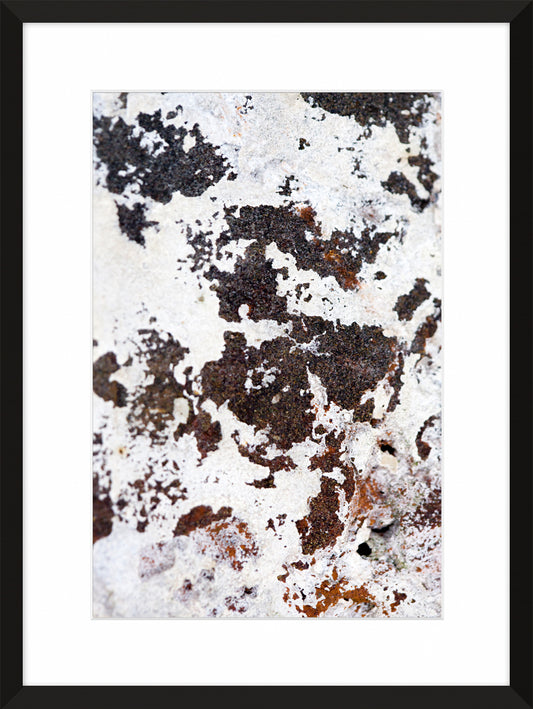 Patina and Decay, White II