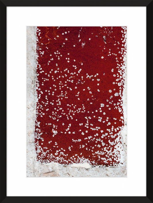 Patina and Decay, Red VI