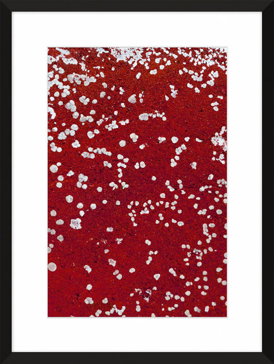 Patina and Decay, Red VII