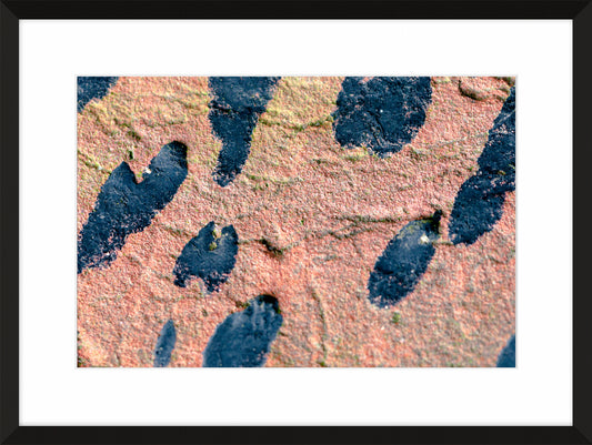 Patina and Decay, Pink III