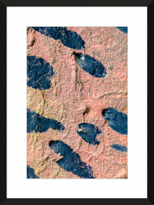 Patina and Decay, Pink IV