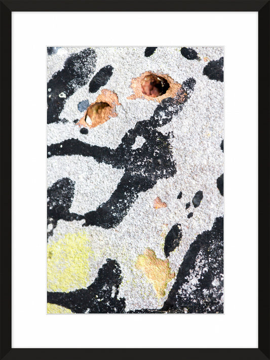 Patina and Decay, White IV