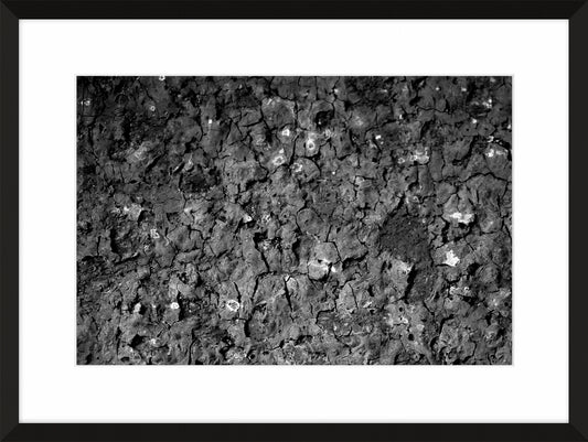 Patina and Decay, Black VI