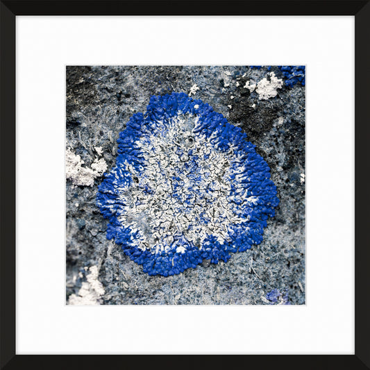 Patina and Decay, Blue VIII