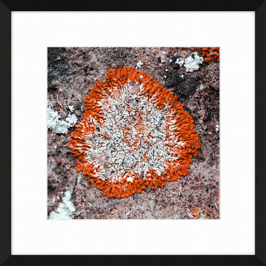 Patina and Decay, Orange VII