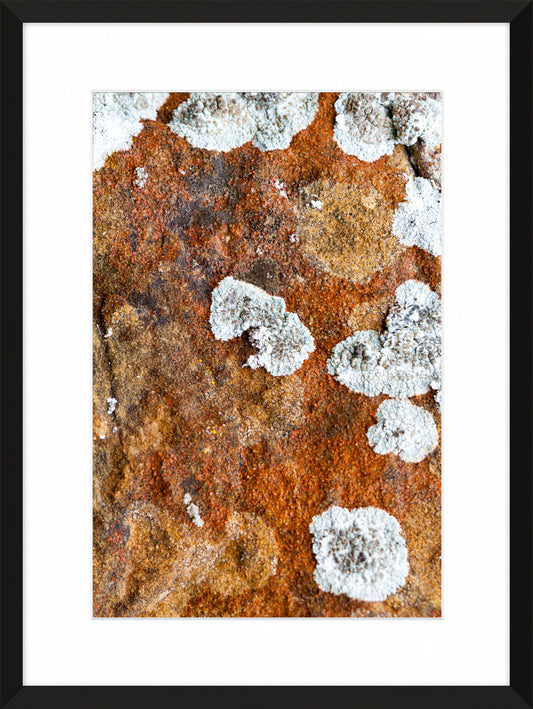 Patina and Decay, Orange VIII