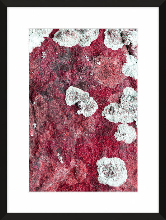 Patina and Decay, Pink VI