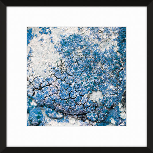 Patina and Decay, Blue XII