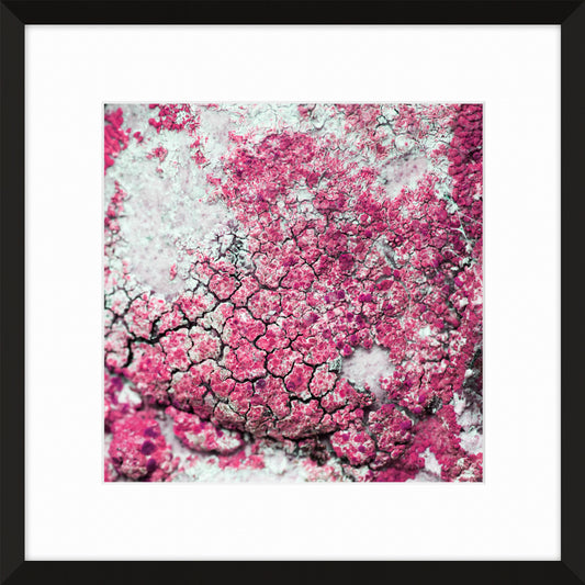 Patina and Decay, Pink IX