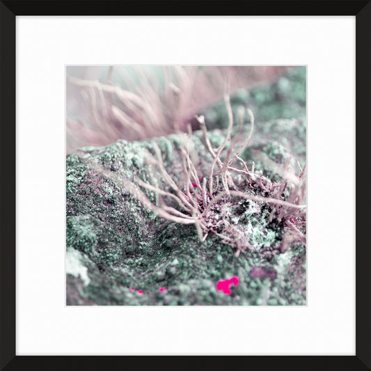 Patina and Decay, Pink X