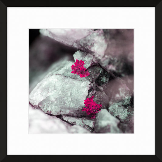 Patina and Decay, Pink XI