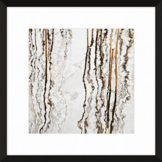 Reflections II, 2012