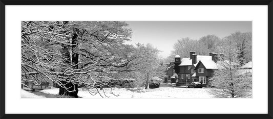 Abinger Hammer II, 2009