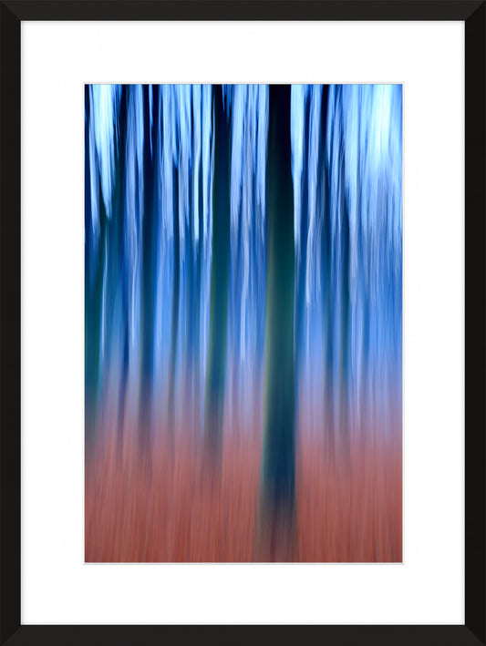 In the Forest I, 2013