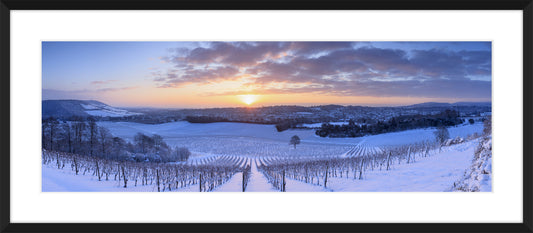 Denbies In Winter II, 2009
