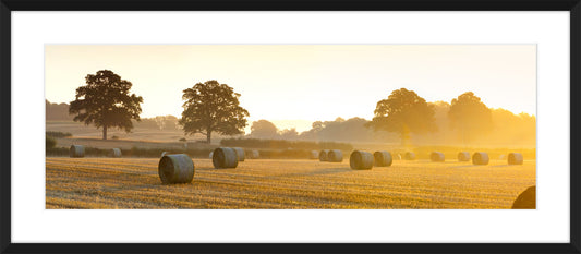 Surrey Countryside, 2012