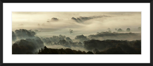 Leith Hill III, 2010