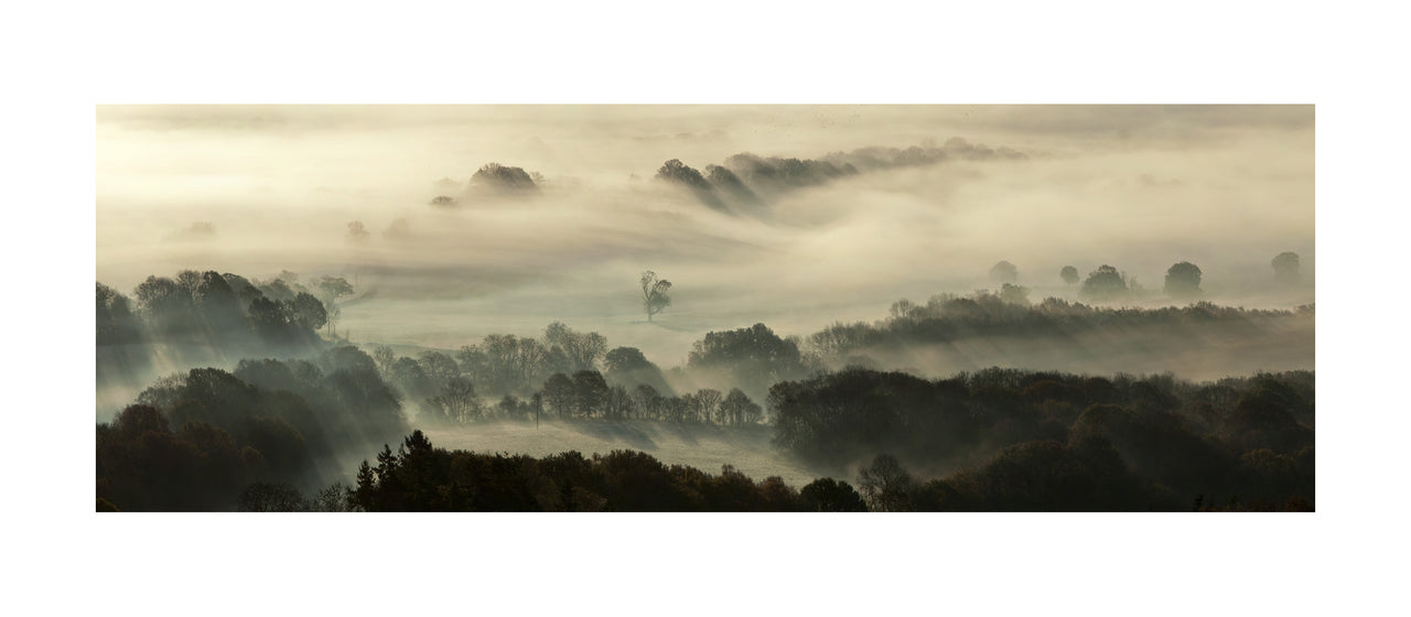 Leith Hill III, 2010