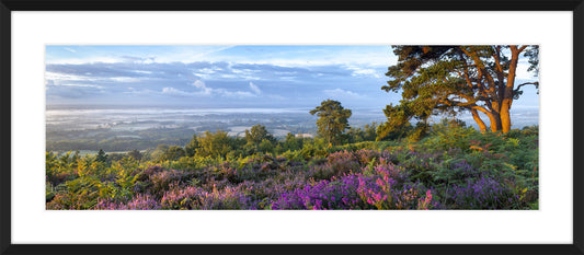 Leith Hill I, 2010