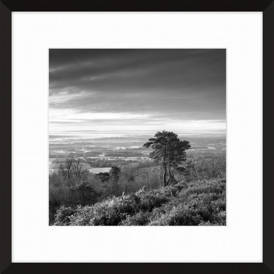 Leith Hill I, 2011