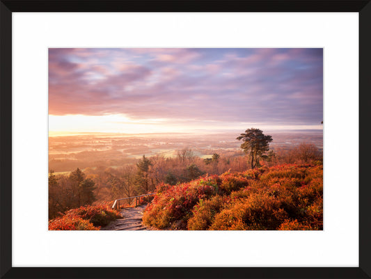 Leith Hill II, 2011