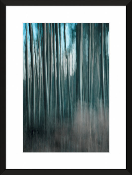 In the Forest I, 2011