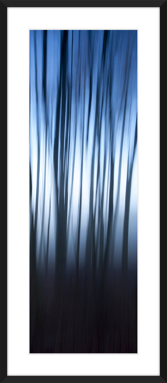 In the Forest VIII, 2012