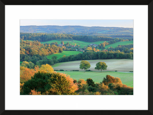 Newlands Corner, 2010