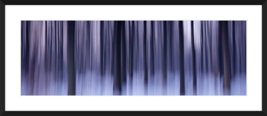 In the Forest XIII, 2012