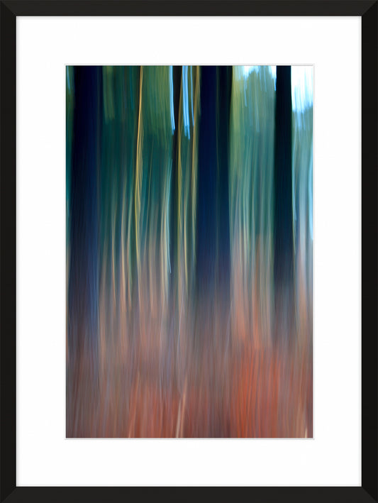 In the Forest III, 2013