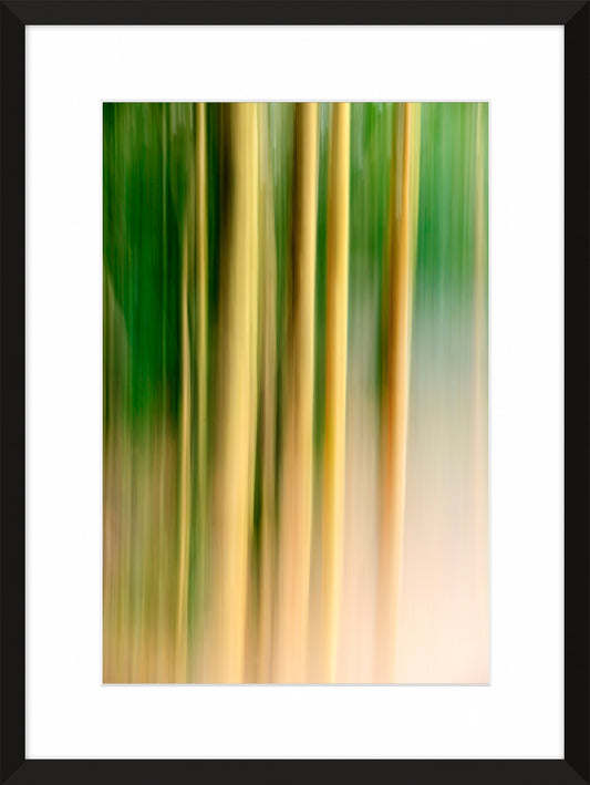 In the Forest II, 2013