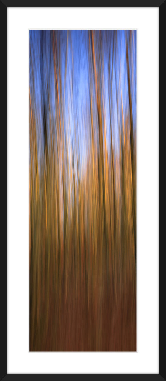 In the Forest II, 2012