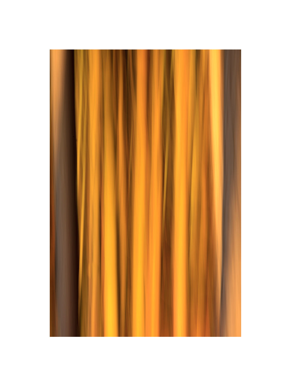 In the Forest V, 2012