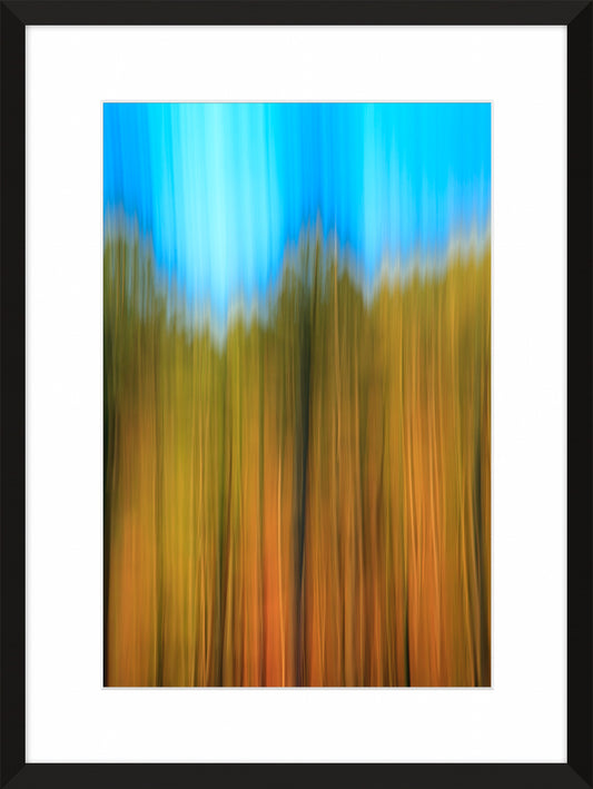 In the Forest VII, 2012