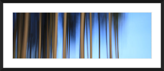 In the Forest I, 2012