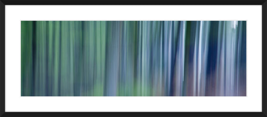 In the Forest XVII, 2012