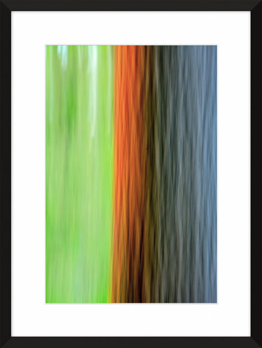 In the Forest XXI, 2012