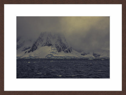 Antarctica II, 2017